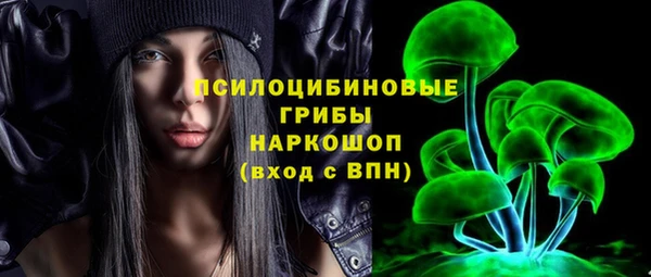 ПСИЛОЦИБИНОВЫЕ ГРИБЫ Абдулино
