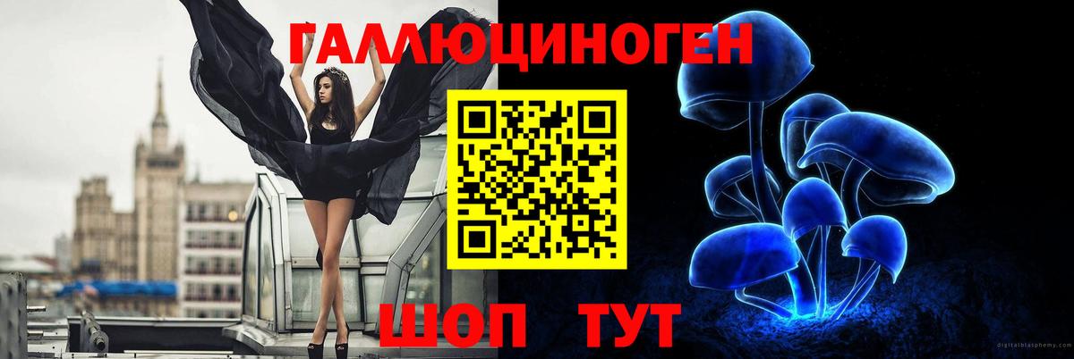 Псилоцибиновые грибы мухоморы  Псилоцибиновые грибы Psilocybe  Кострома  Вход с VPN 